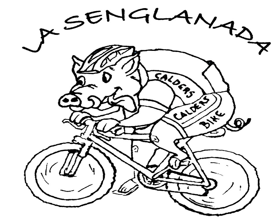 Anagrama La Senglanada